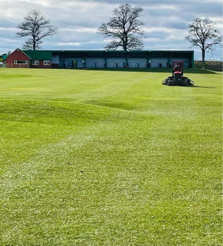 grass field with lawnmower